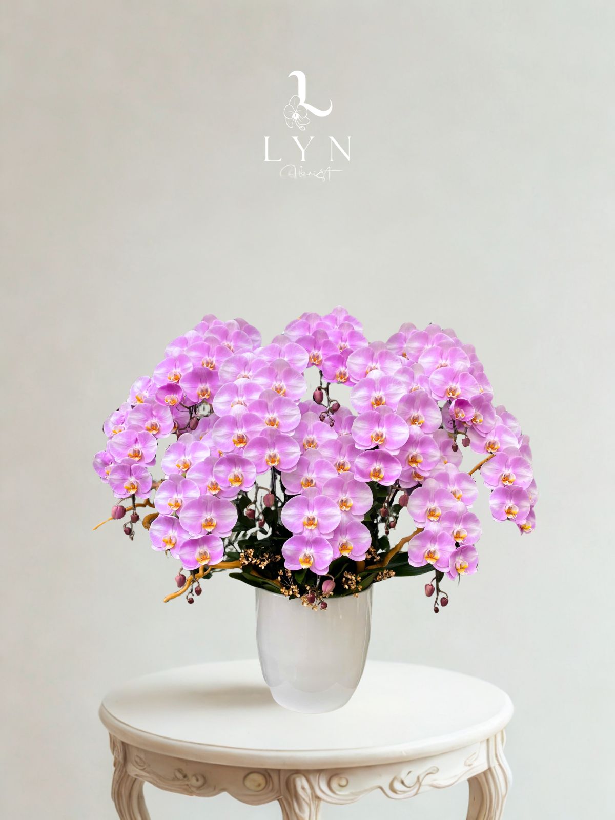 Chậu Hoa Lan Hồng Chanel